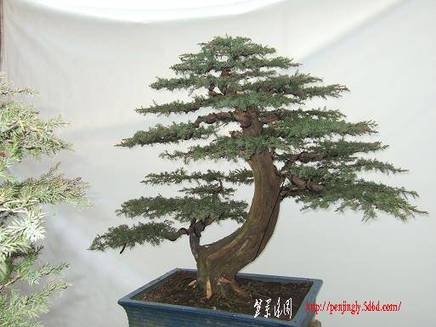 DSCF5491.JPG