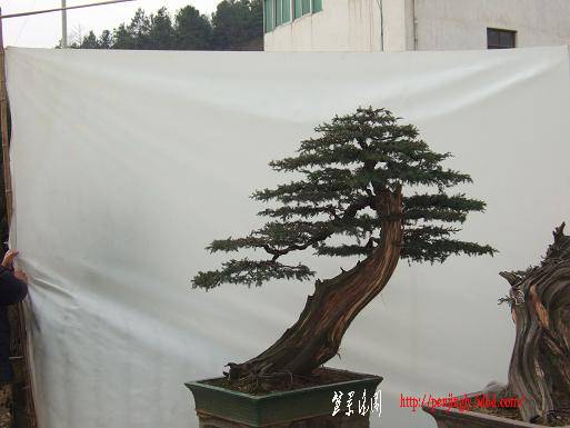 DSCF5489.JPG
