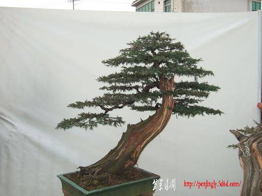 DSCF5490.JPG