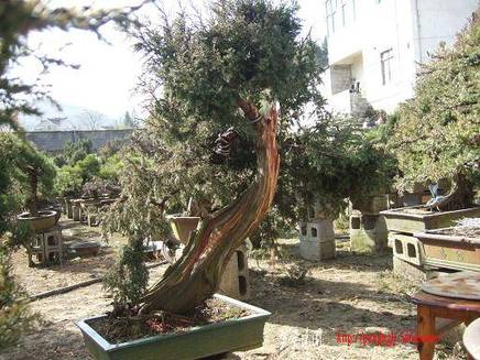 DSCF5487.JPG