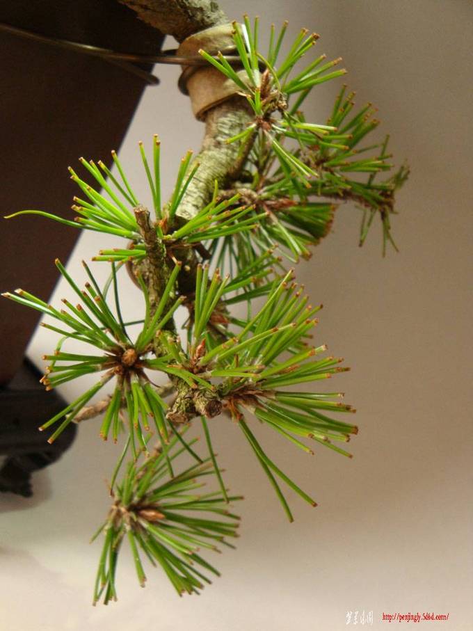 DSC04021.JPG