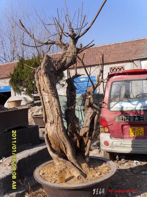 SDC10770.JPG