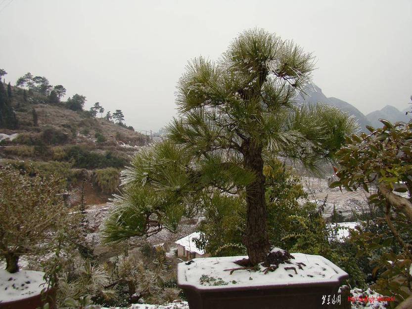 DSC03635(xiao).JPG