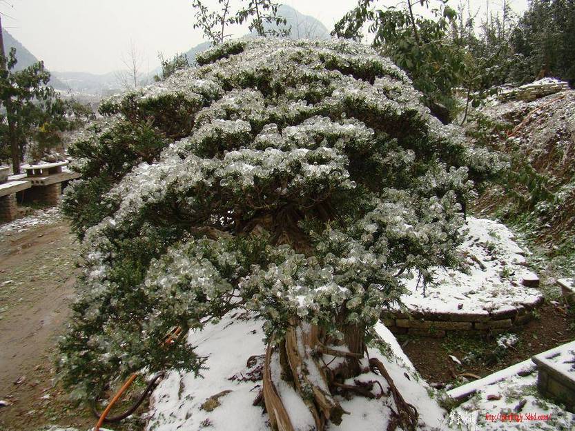 DSC03634(xiao).JPG