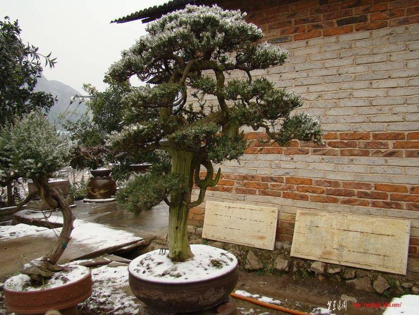 DSC03639(xiao).JPG
