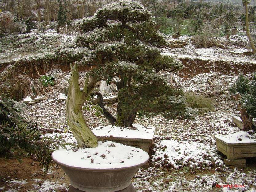 DSC03642(xiao).JPG