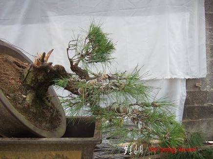 DSCF5521.JPG