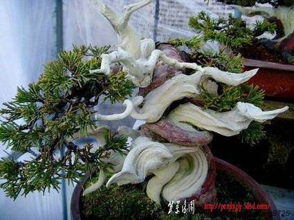 ap_F23_20100314104603146.jpg