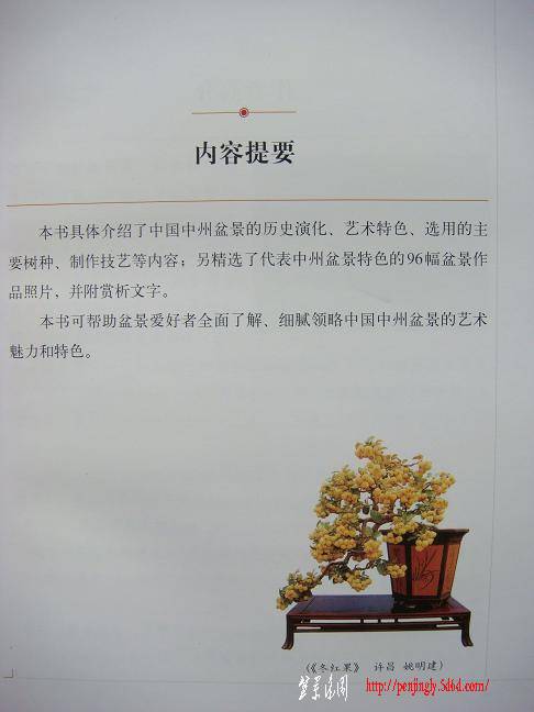 DSC07764.JPG