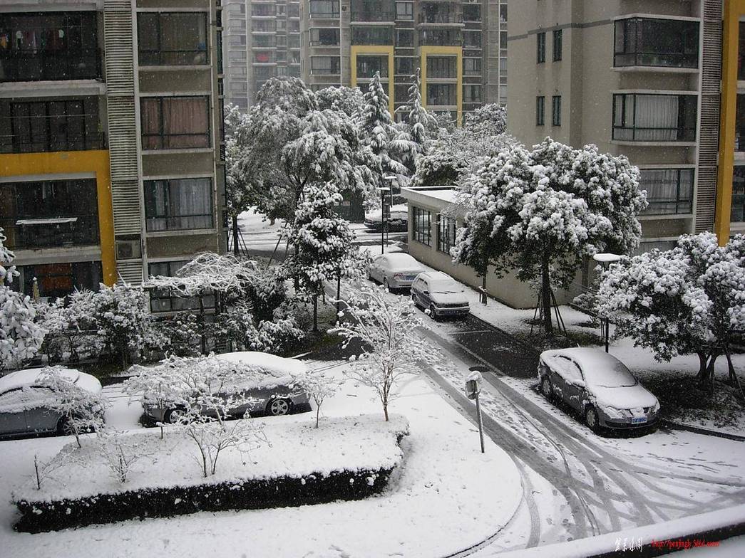 DSCN4262.JPG