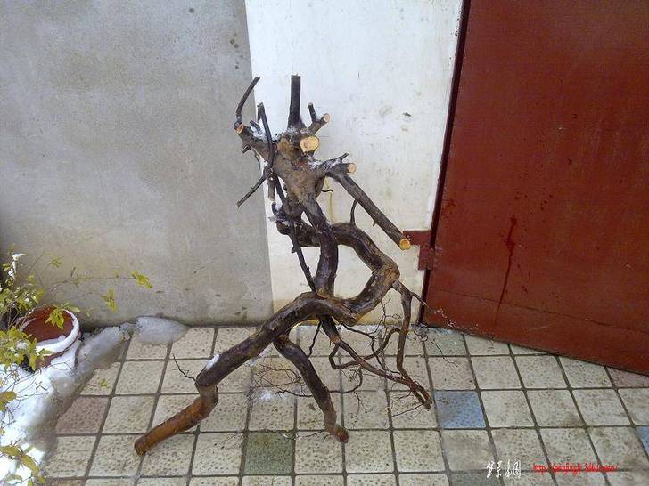 20110120194.jpg