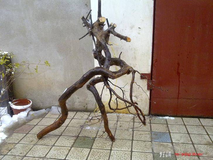 20110120197.jpg