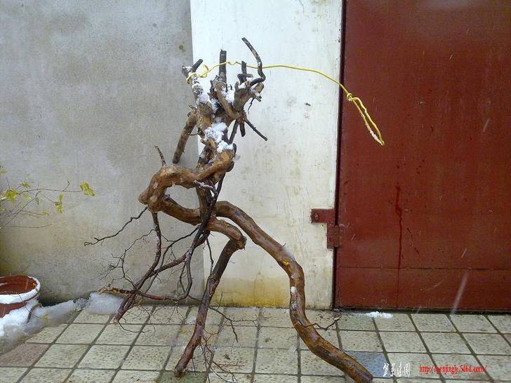20110120199.jpg