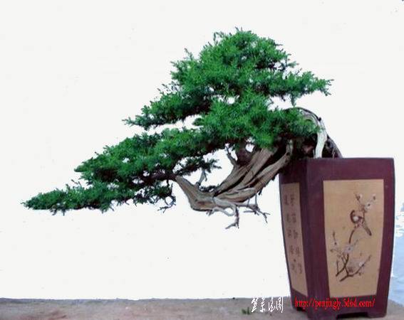 DSCN3408.JPG