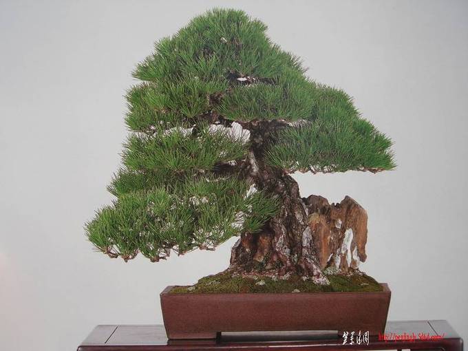 001-118.jpg