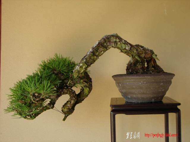 DSC04420.jpg