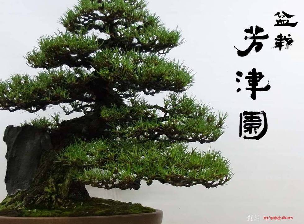 ishizuki3.jpg