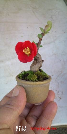 20101222_1816964.jpg