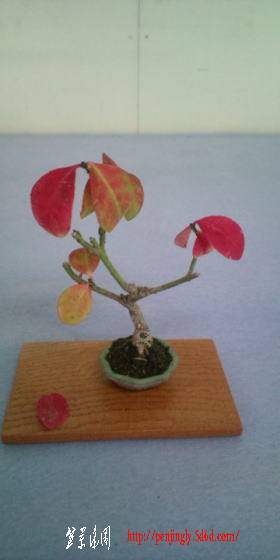 20101013_1727505.jpg