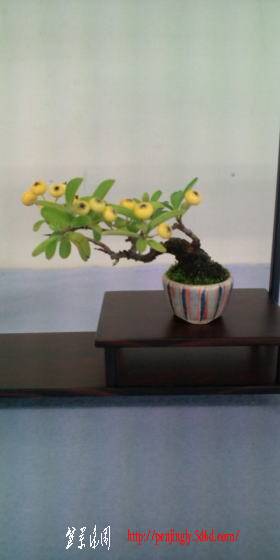 20101013_1727506.jpg