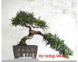 E041A45B-FABA-4589-819A-3F38C0B4408A.jpg