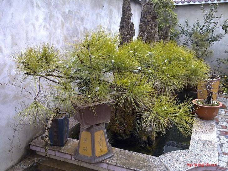 20110128247.jpg