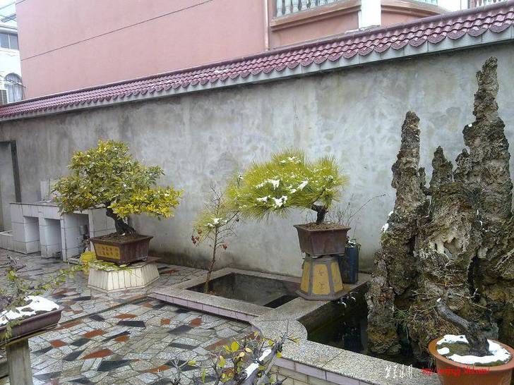 20110128212.jpg