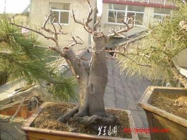 DSCN1769.JPG