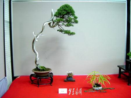 16kai-kasai,takasi-dai.jpg