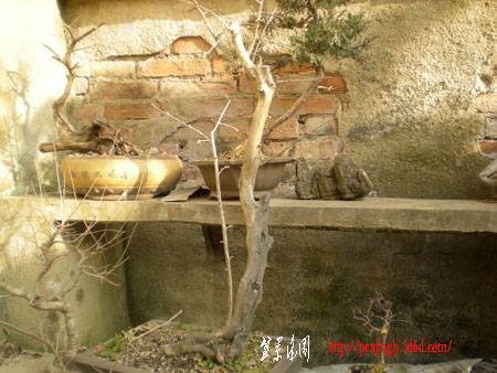 DSCN1753.JPG