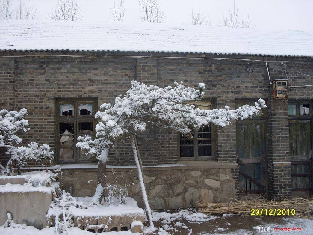 SDC12721.JPG