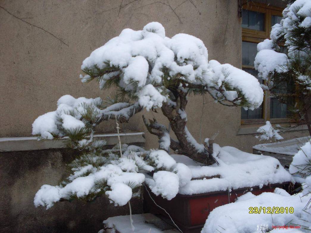 SDC12705.JPG