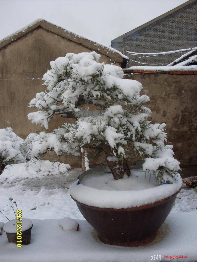 SDC12711.JPG