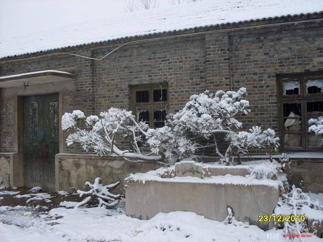 SDC12722.JPG