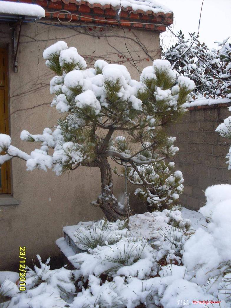 SDC12707.JPG