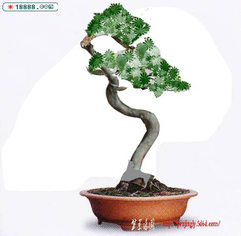 ���޺� ����.jpg