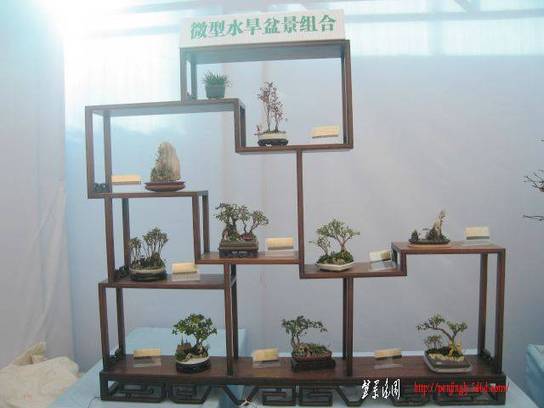 辰չ23.jpg