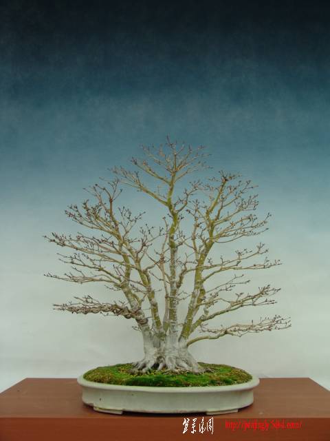 f%20(3)_2.jpg