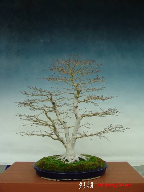 f%20(4)_1.jpg