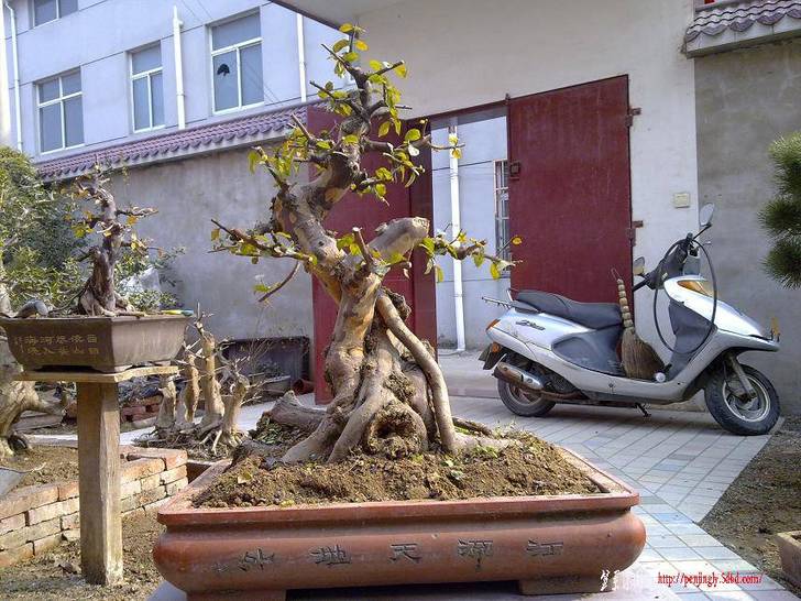 20110206260.jpg