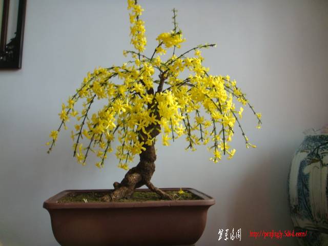 DSC01913.JPG