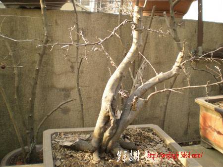 DSCN1766.JPG