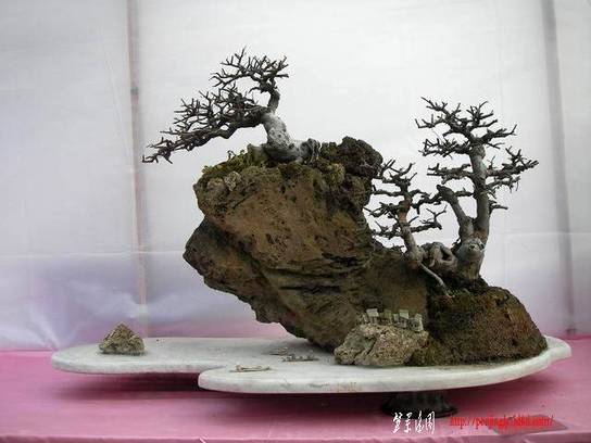ع С SANY0719.JPG