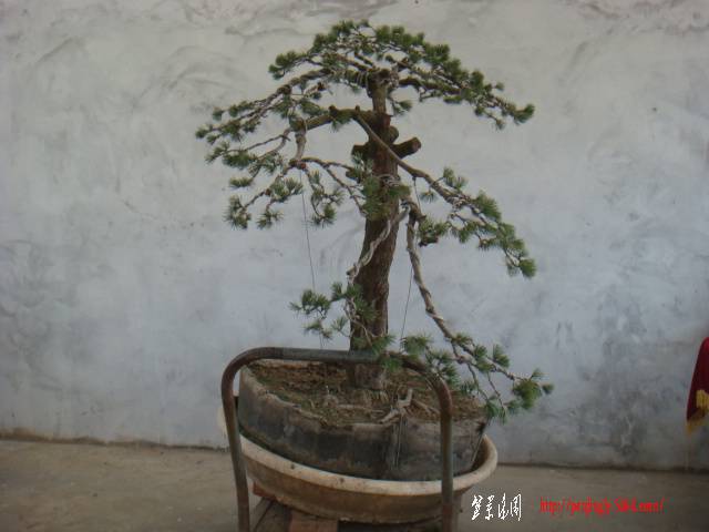 DSC07807.JPG