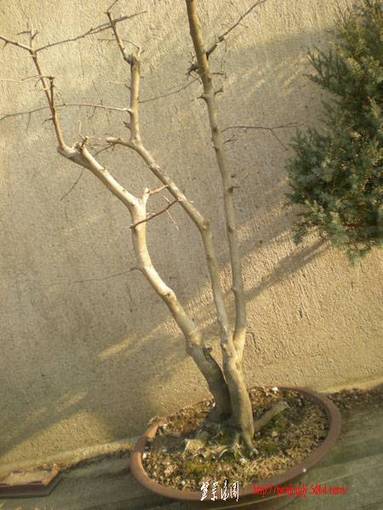 DSCN1771.JPG