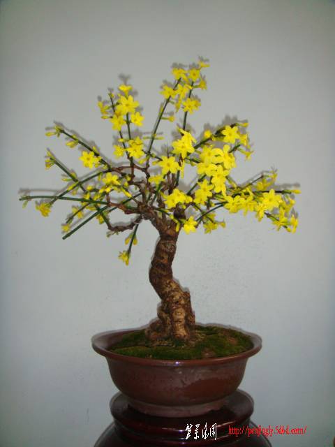 DSC01941.JPG