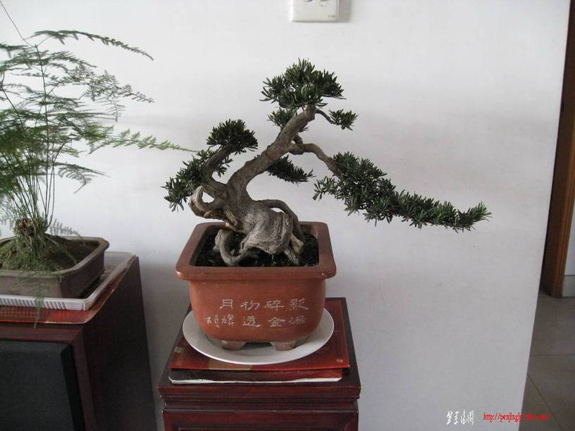 Ƭ 14041.JPG