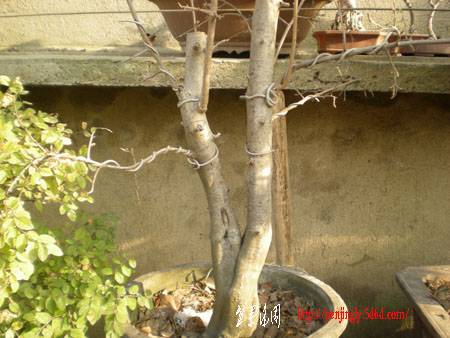 DSCN1770.JPG