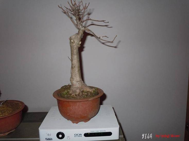 DSCN0892.jpg