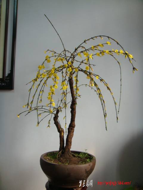 DSC01959.JPG